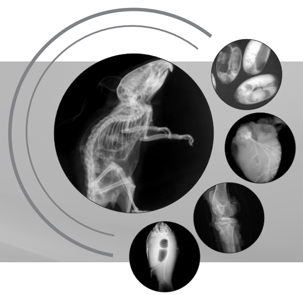 生命科學研究、小動物、種子檢測